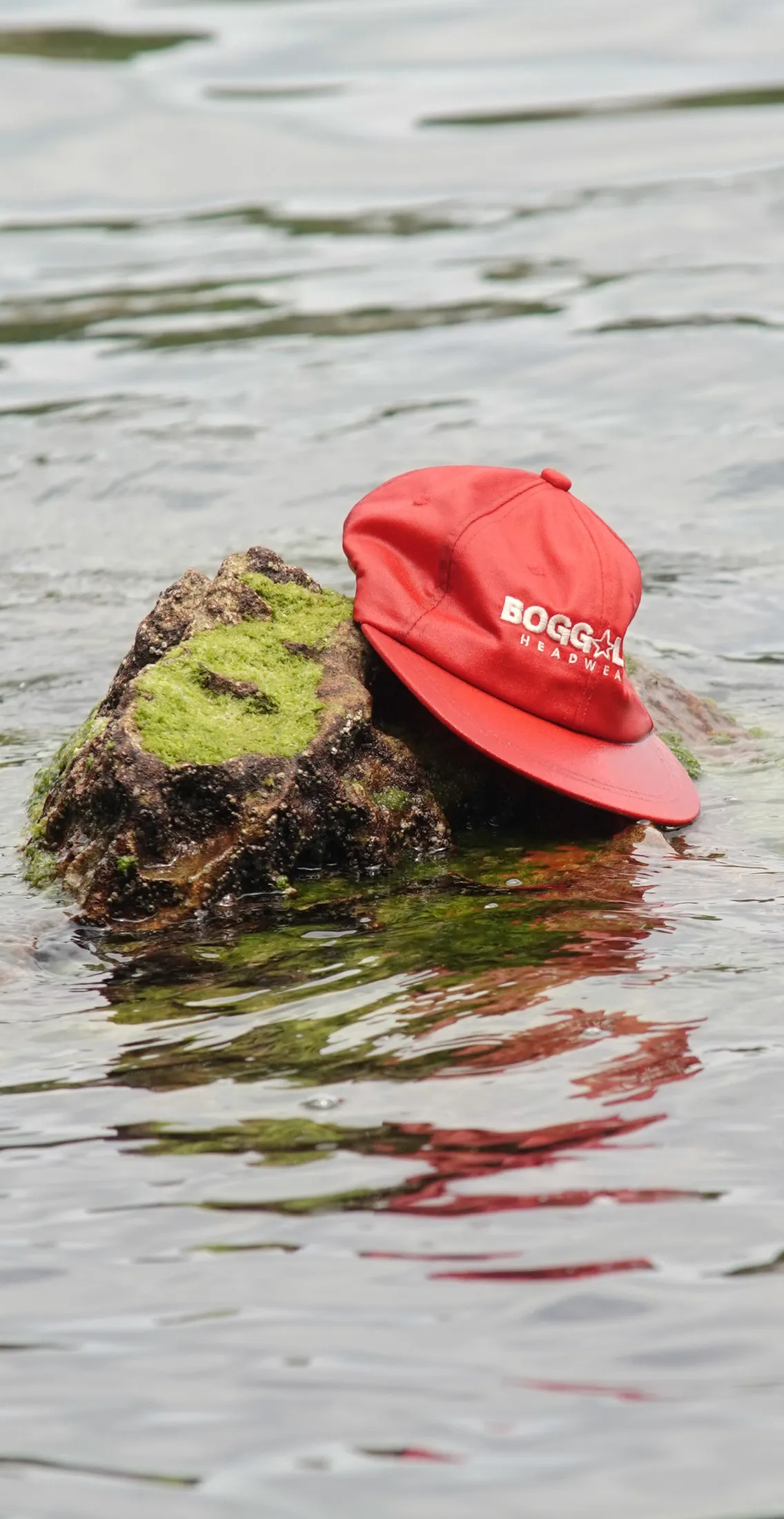 Bogga Surfeko txano gorria, aurrealdeko ikuspegia.